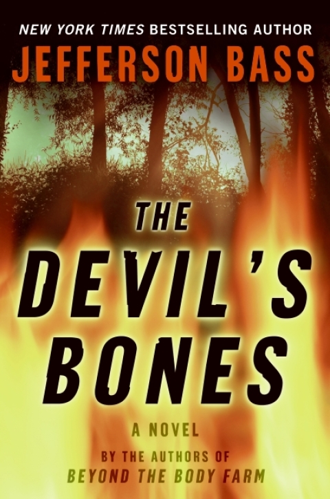 Cover image for book The Devil's Bones