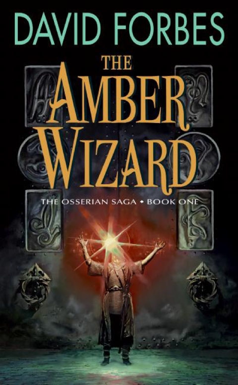 Cover image for book The Amber Wizard