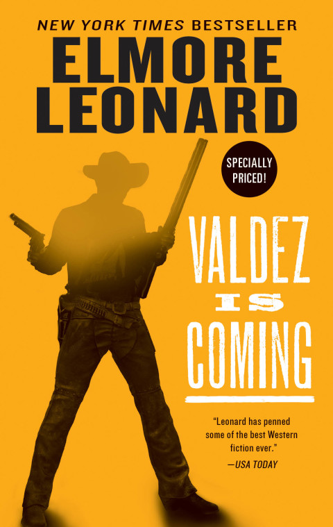 Cover image for book Valdez Is Coming