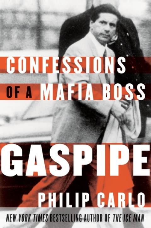 Cover image for book Gaspipe