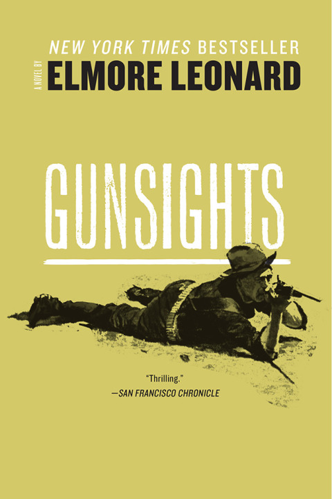 Cover image for book Gunsights
