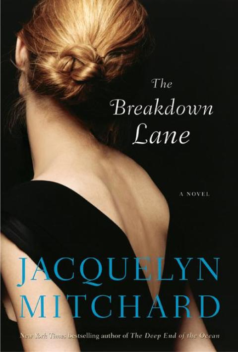 Cover image for book The Breakdown Lane