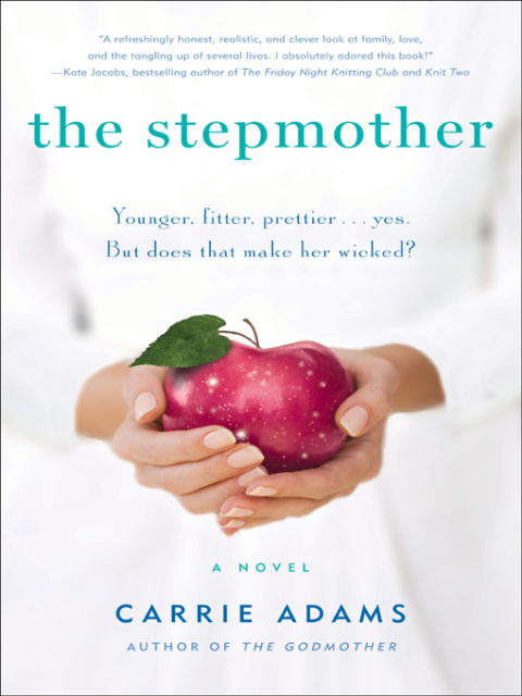 Cover image for book The Stepmother