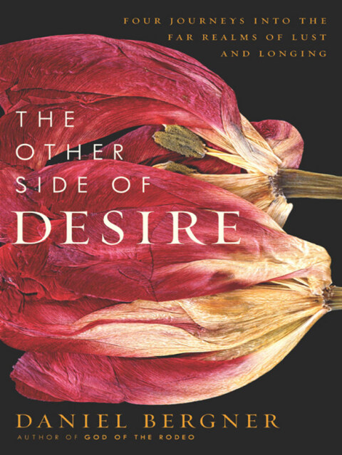 Cover image for book The Other Side of Desire