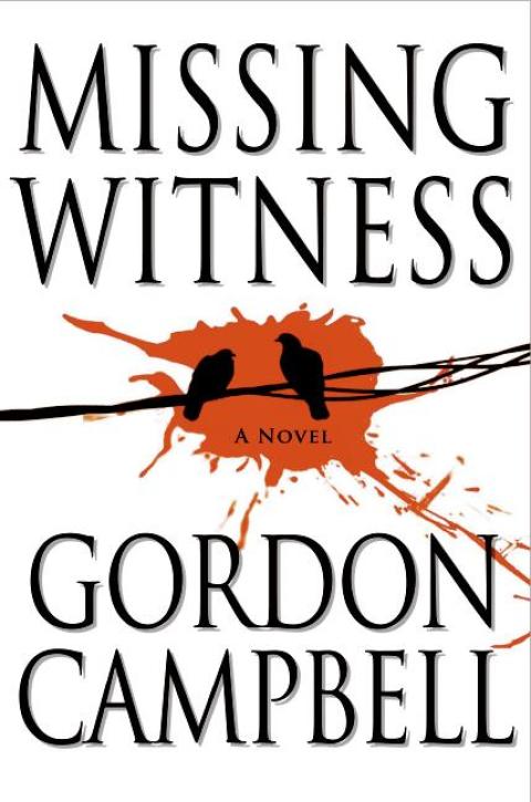 Cover image for book Missing Witness
