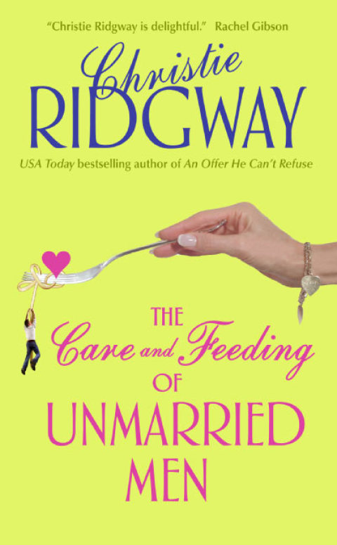 Cover image for book The Care and Feeding of Unmarried Men