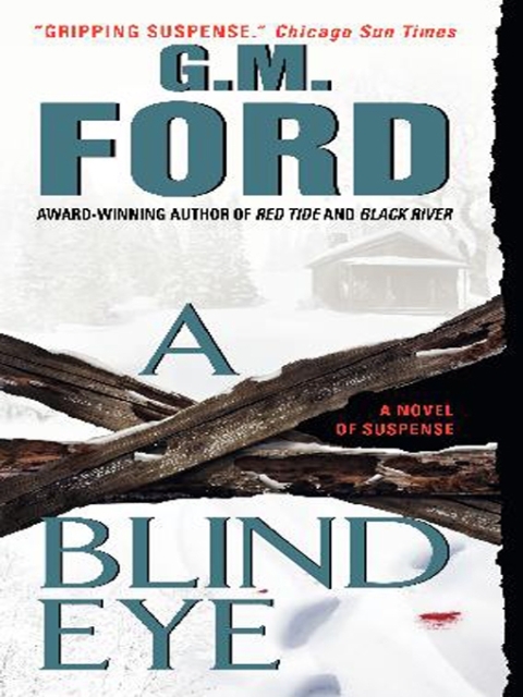 Cover image for book A Blind Eye
