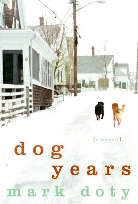 Cover image for book Dog Years