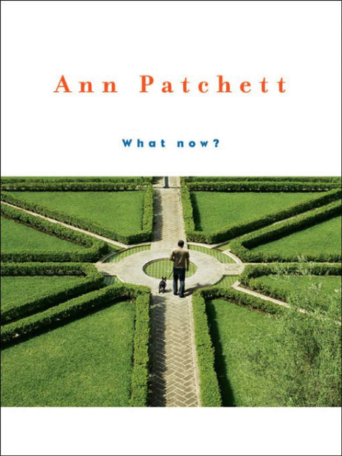 Cover image for book What Now?