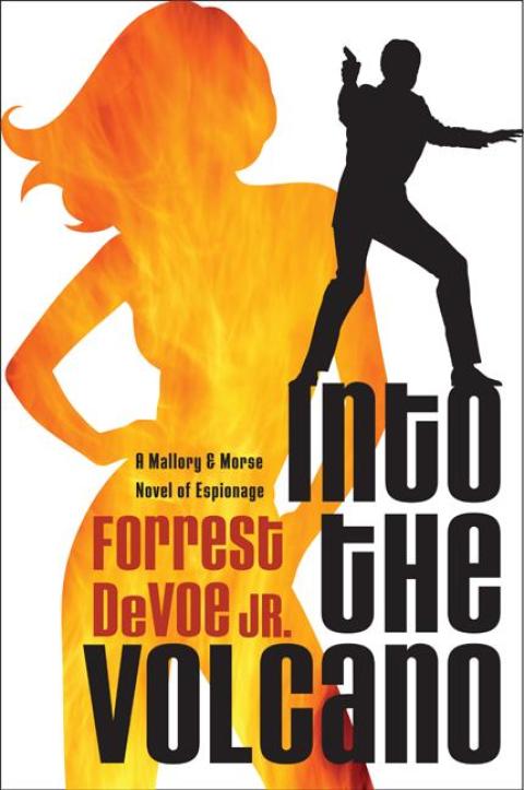 Cover image for book Into the Volcano