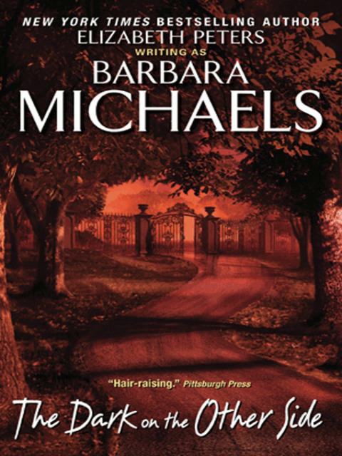 Cover image for book The Dark on the Other Side
