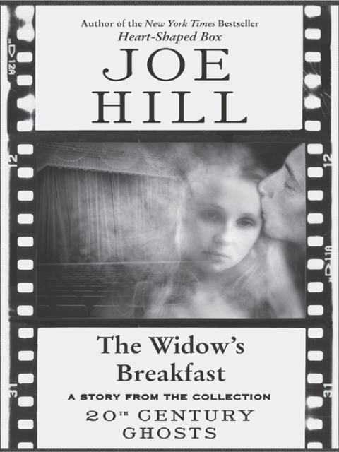 Cover image for book The Widow's Breakfast
