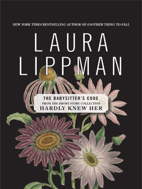 Cover image for book The Babysitter's Code