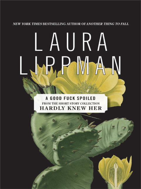 Cover image for book A Good Fuck Spoiled