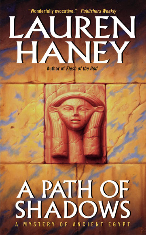 Cover image for book A Path of Shadows