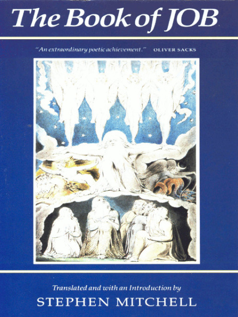 Cover image for book The Book of Job