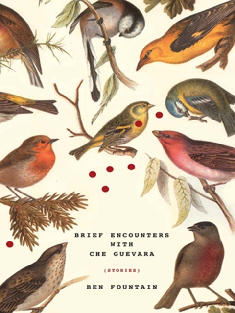 Cover image for book Brief Encounters with Che Guevara