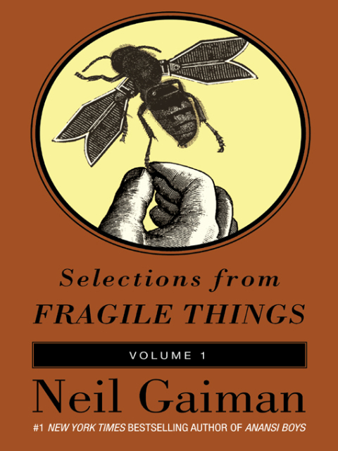 Cover image for book Selections from Fragile Things, Volume One