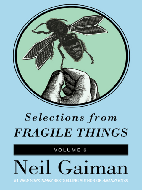 Cover image for book Selections from Fragile Things, Volume Six