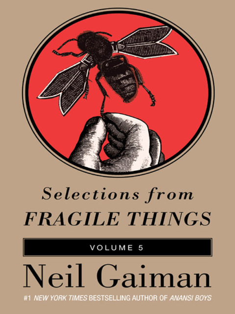 Cover image for book Selections from Fragile Things, Volume Five