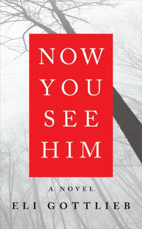 Cover image for book Now You See Him