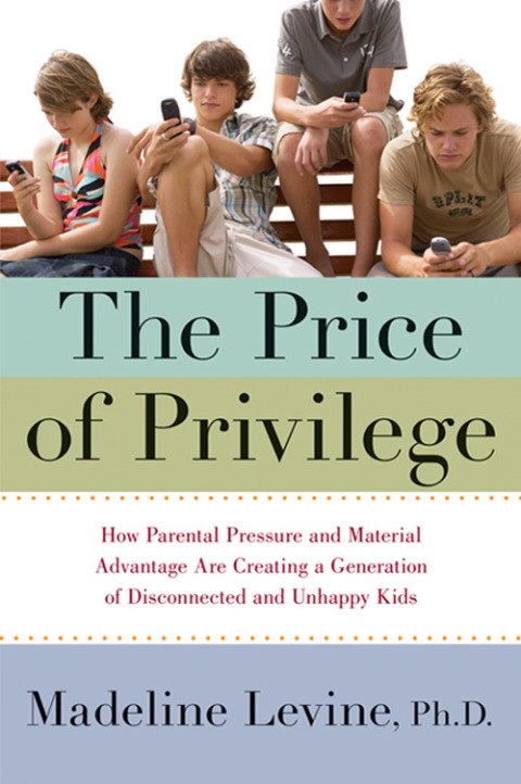Cover image for book The Price of Privilege