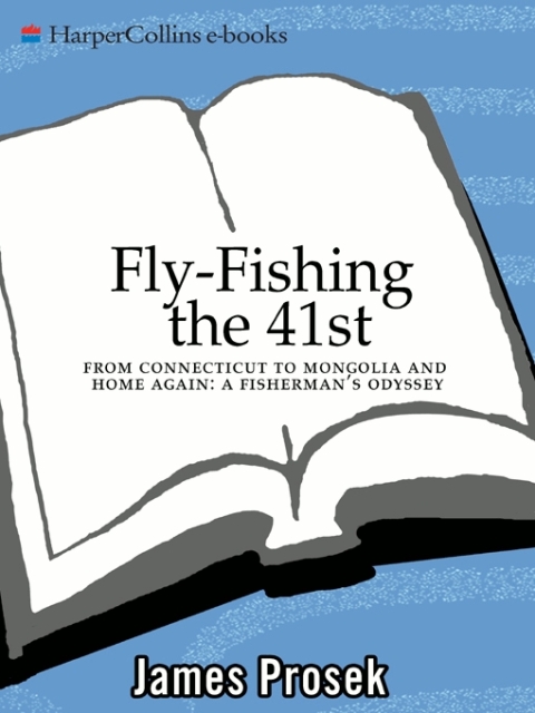 Cover image for book Fly-Fishing the 41st
