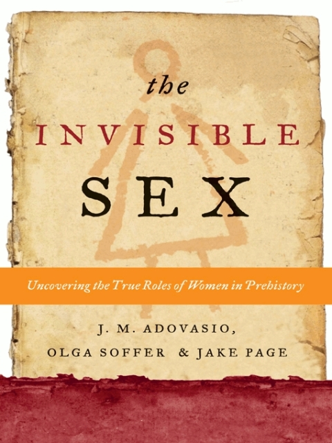 Cover image for book The Invisible Sex