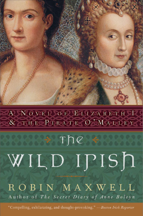 Cover image for book The Wild Irish