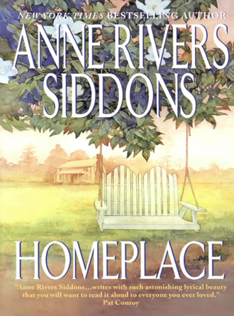 Cover image for book Homeplace
