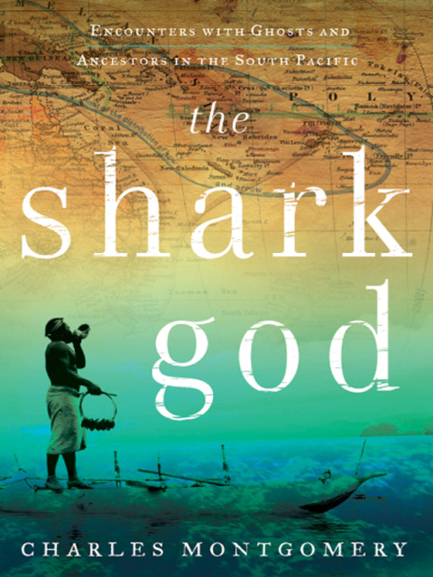 Cover image for book The Shark God
