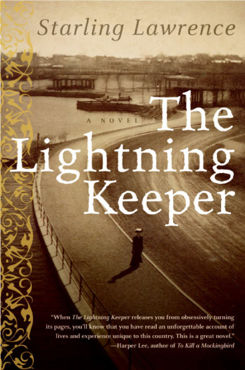 Cover image for book The Lightning Keeper