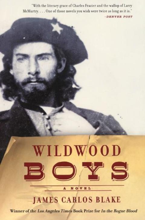 Cover image for book Wildwood Boys