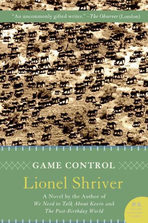 Cover image for book Game Control