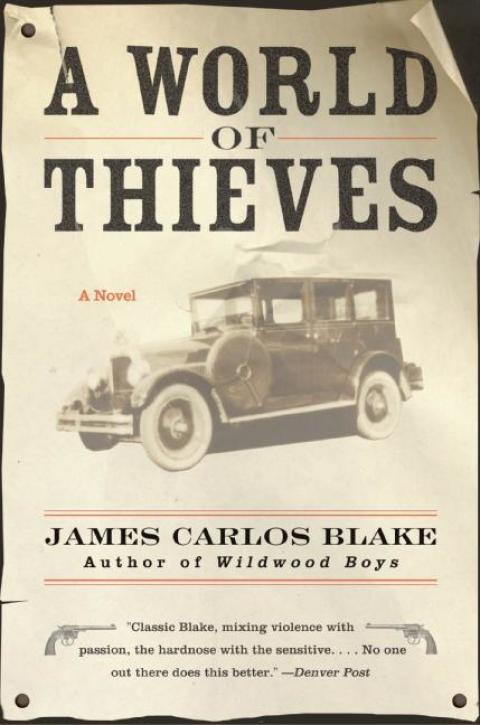 Cover image for book A World of Thieves