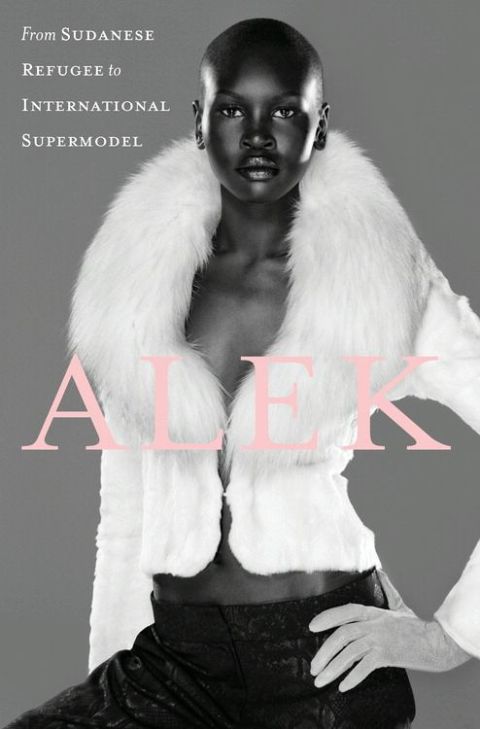 Cover image for book Alek