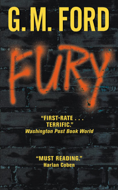 Cover image for book Fury