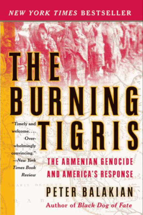 Cover image for book The Burning Tigris