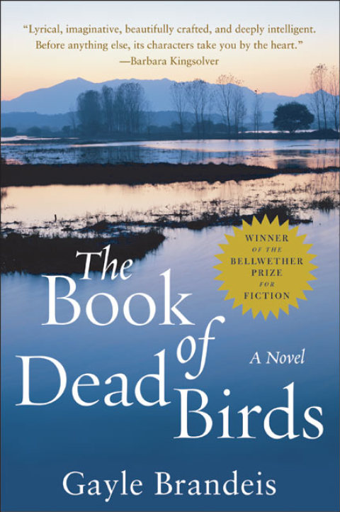 Cover image for book The Book of Dead Birds