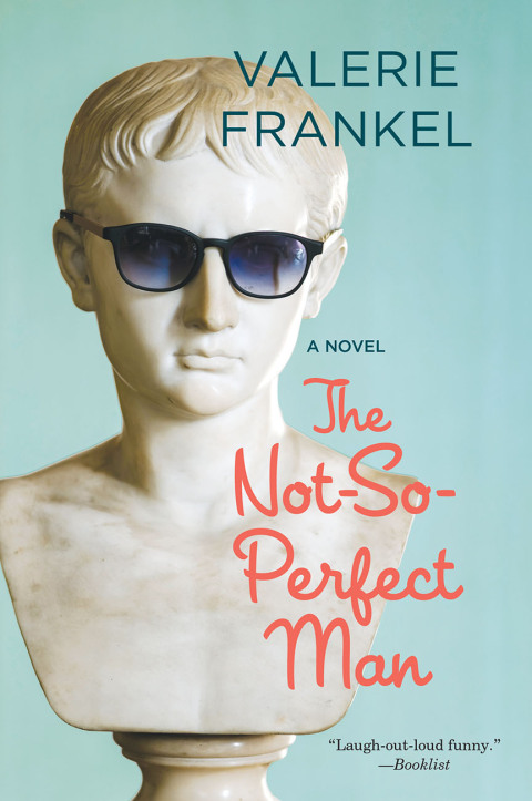 Cover image for book The Not-So-Perfect Man