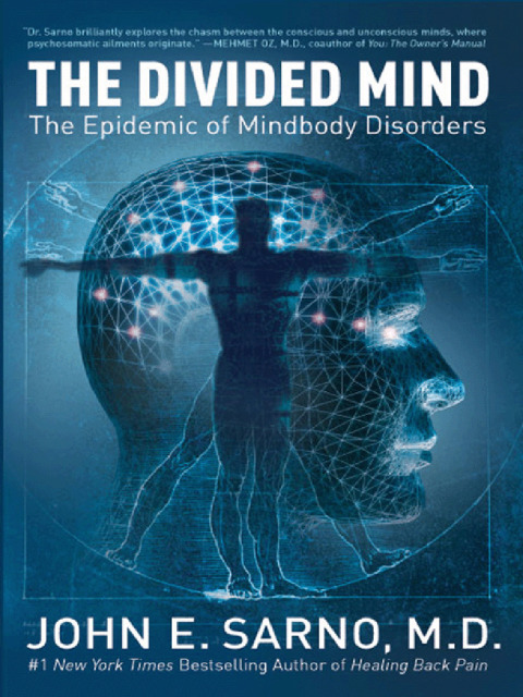 Cover image for book The Divided Mind