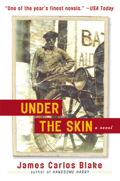 Cover image for book Under the Skin