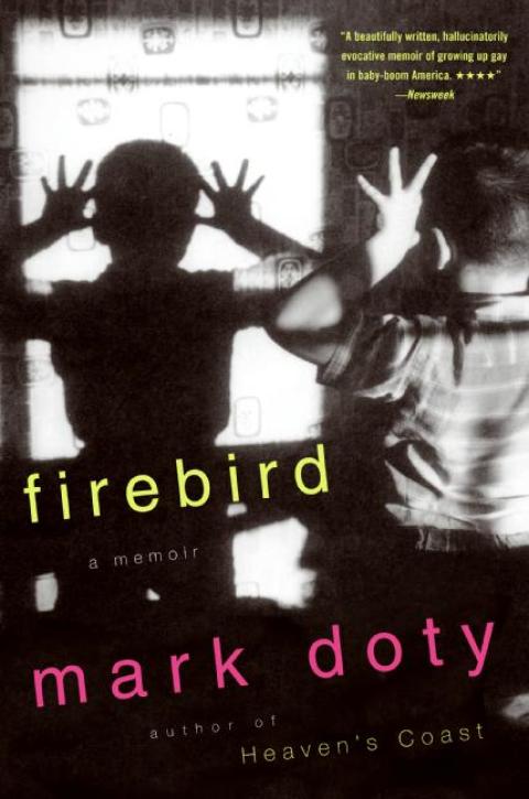 Cover image for book Firebird