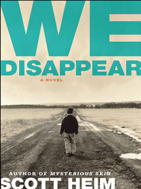 Cover image for book We Disappear