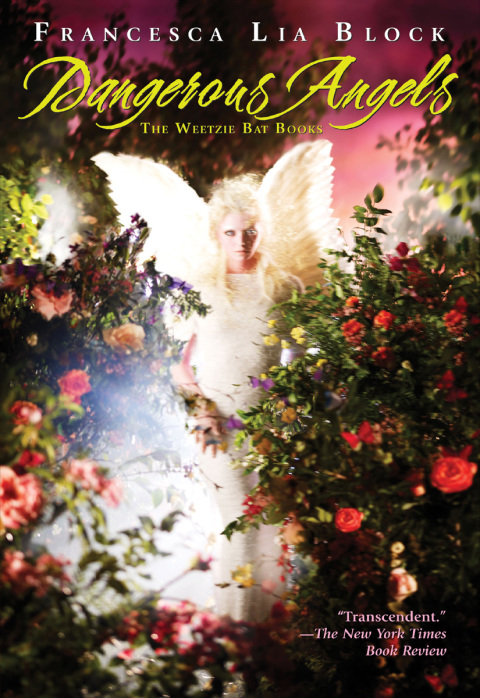 Cover image for book Dangerous Angels