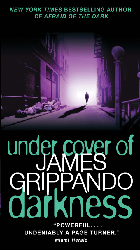 Cover image for book Under Cover of Darkness