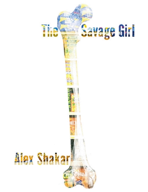 Cover image for book The Savage Girl