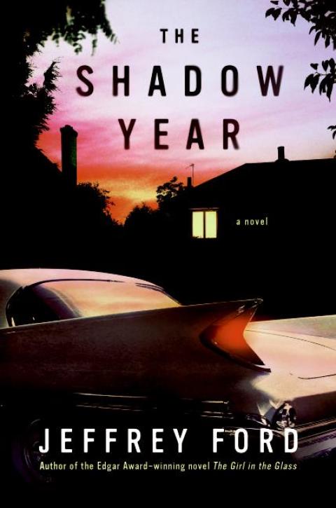 Cover image for book The Shadow Year