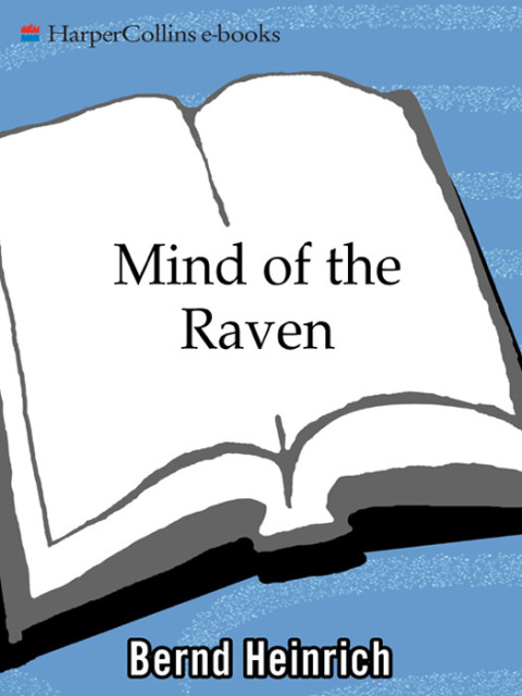 Cover image for book Mind of the Raven