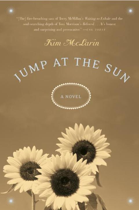 Cover image for book Jump at the Sun